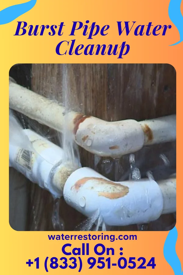 Burst Pipe Water Cleanup in Keller, VA