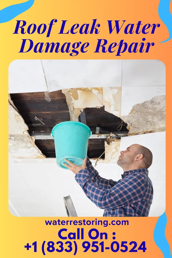 Roof Leak Water Damage Repair in Keller, VA