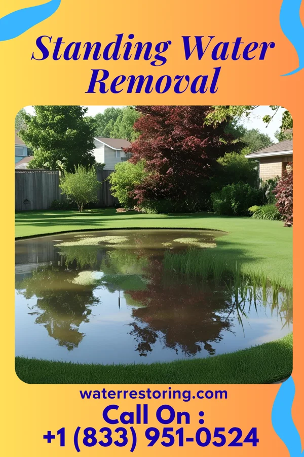 Standing Water Removal in Keller, VA